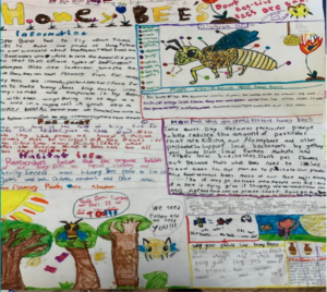 Angles of Honey Bees lesson plan